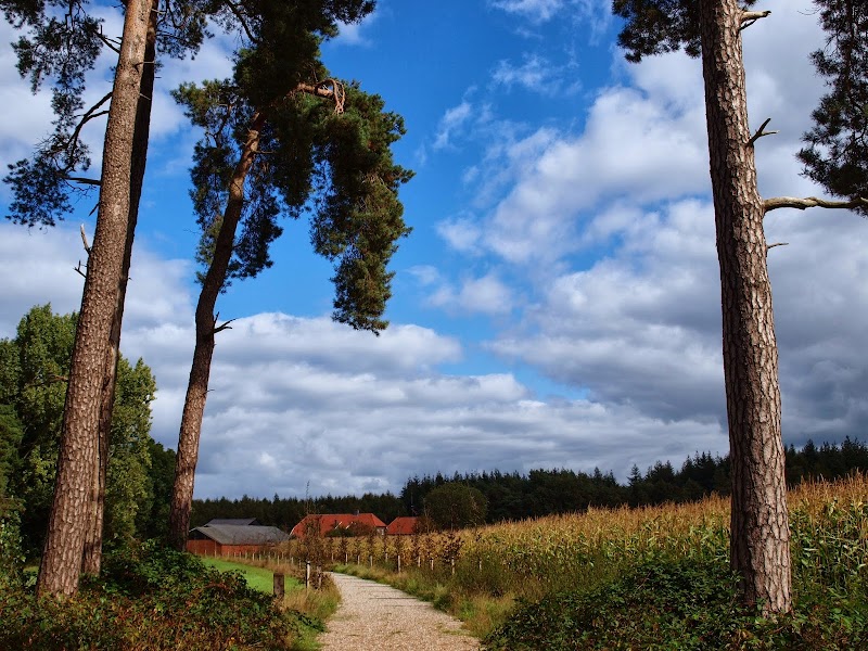 Ayurveda Twente - Hoofdfoto