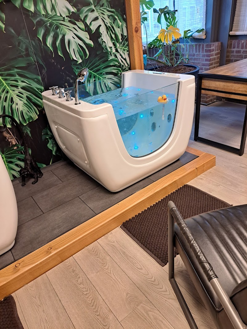Baby Spa Sappemeer - Hoofdfoto