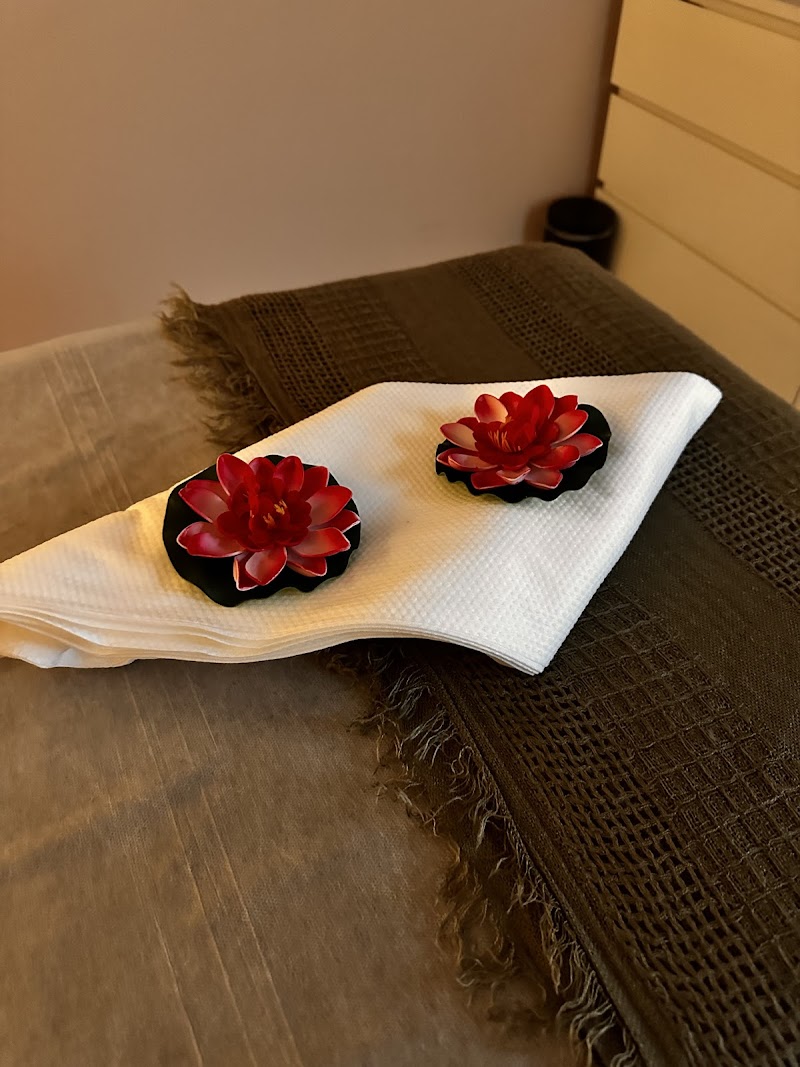 Body Balans Massage Relax & Therapie Den Haag - Foto 7