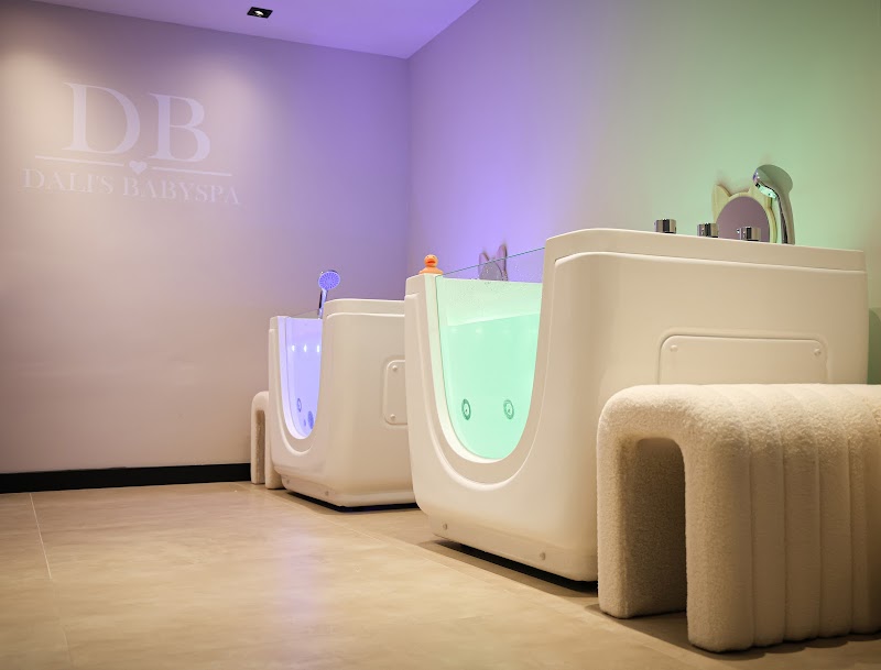 Dali's Babyspa - Hoofdfoto