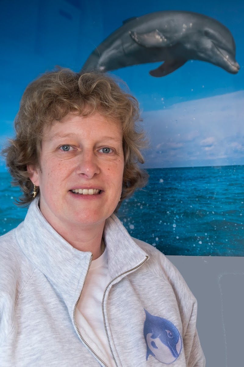 Dolfijn Massage - Hoofdfoto