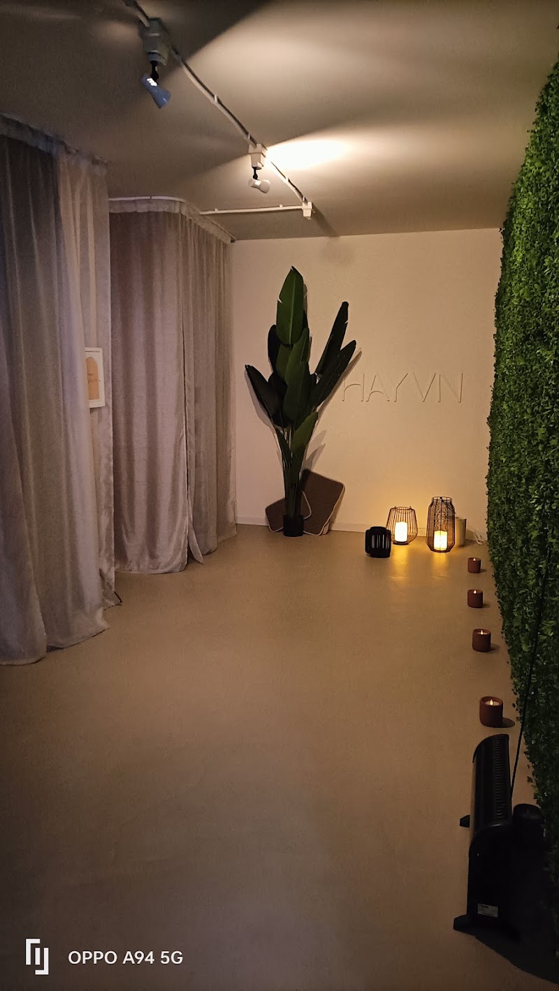 HAYVN Wellness