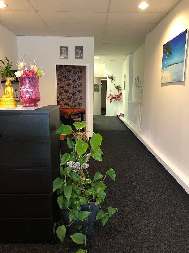 Phaya Thai Massage & Wellness/ ABC-BOOGSPORT - Hoofdfoto