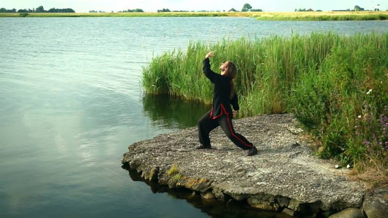 Tai Chi Well - Hoofdfoto