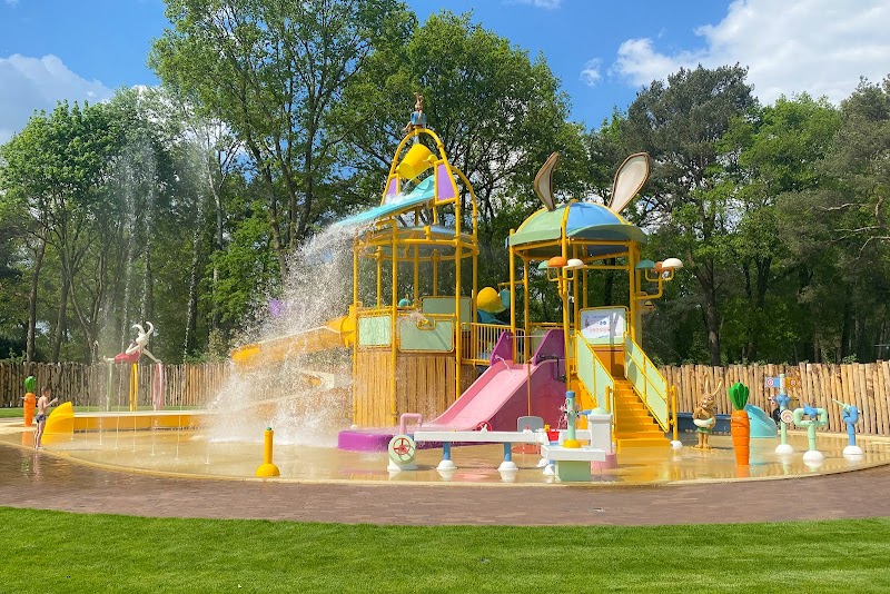 Vakantiepark Beerze Bulten - Hoofdfoto