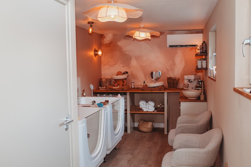 Veer’s Babyspa - Hoofdfoto