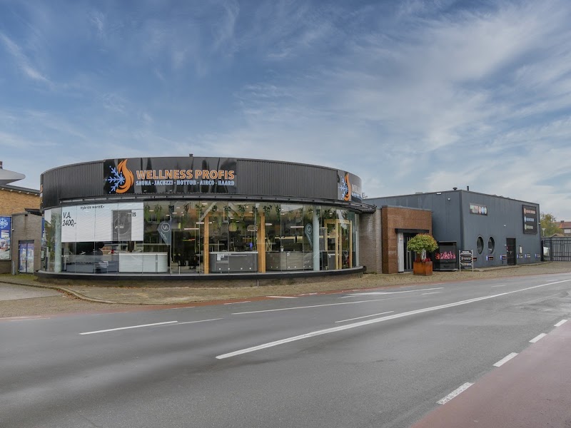 Wellness Profis Sauna's & Spa's - Hoofdfoto