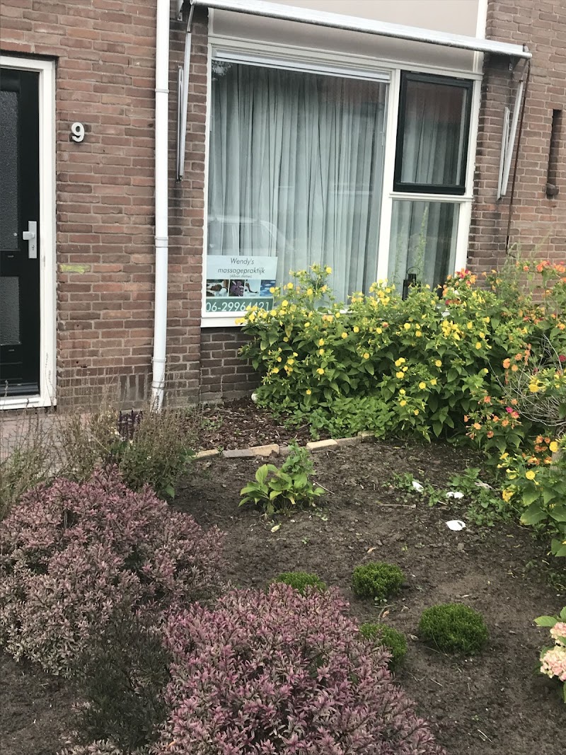 Wendy’s holistische praktijk (alleen dames) - Hoofdfoto