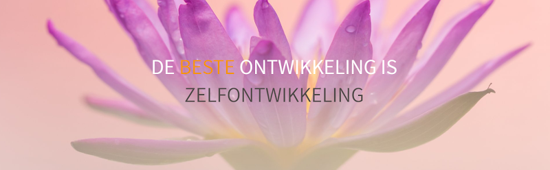 Zen & Zingeving Zuidplas. - Hoofdfoto